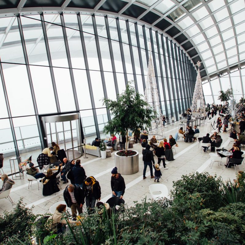 pexels-riccardo-301930